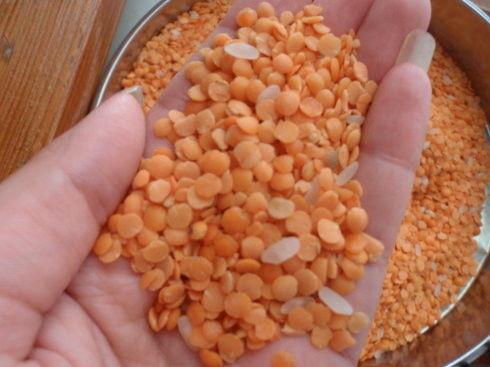 Les haricots de capteur de CCD de Toshiba colorent la trieuse, trieuse de millet de lentilles