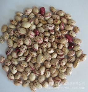 Les haricots nains de plus nouveau logiciel multifonctionnel colorent la trieuse de couleur de haricots de trieuse