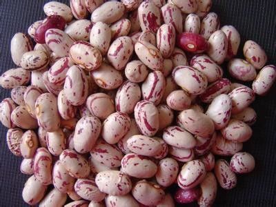 Les haricots nains de plus nouveau logiciel multifonctionnel colorent la trieuse de couleur de haricots de trieuse