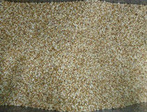 trieuse de couleur de pignons de 220V 50HZ avec le capteur de CCD de 4096 PIXELS