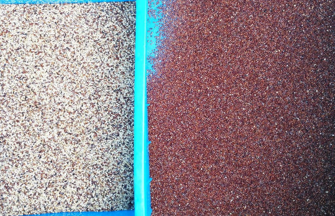 Trieuse de couleur de grain de 10 descendeurs, certificat de la CE ISO9001 de trieuse de couleur de céréale