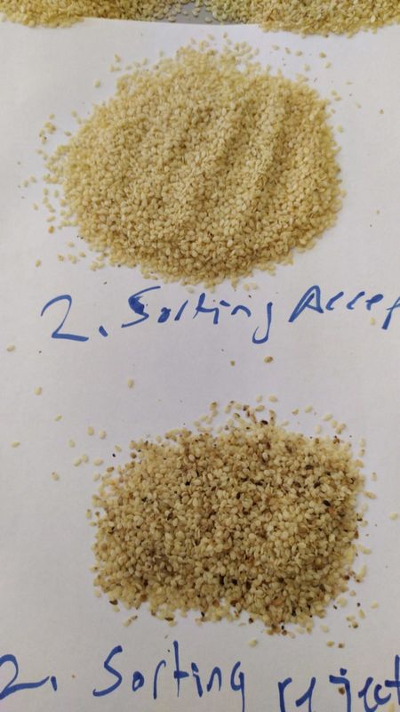 Trieuse de couleur de Wenyao High Capacity Sesame Seeds assortissant la machine de séparateur