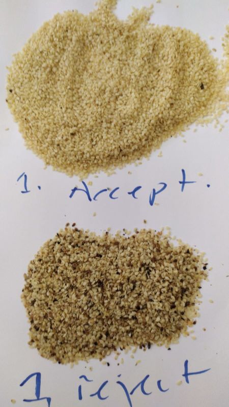 Trieuse de couleur de Wenyao High Capacity Sesame Seeds assortissant la machine de séparateur