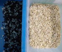 Les granules en plastique multifonctionnels de flocons d'ANIMAL FAMILIER de PVC de l'ABS pp colorent la trieuse réutilisant la trieuse de couleur en plastique