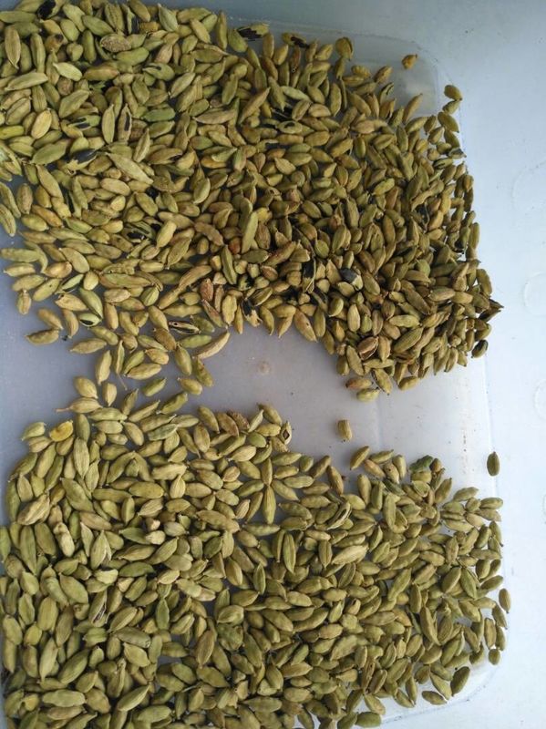 Chaîne de fabrication de cardamome de trieuse de couleur de haricots de trieuse de couleur de cardamome