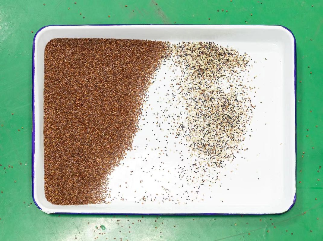 Machines de trieuse de couleur de quinoa 128 canaux 2 ans de garantie