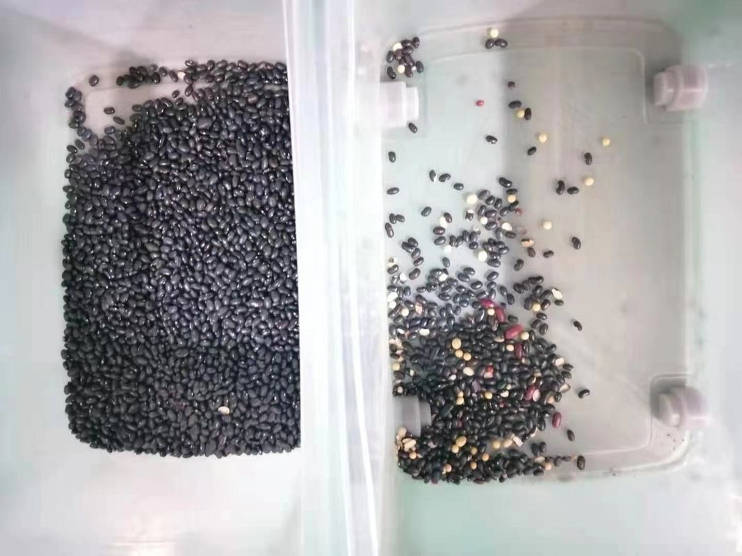 Trieuse multifonctionnelle de couleur de 128 canaux pour le haricot de Pea Wheat Grain Nut Seed