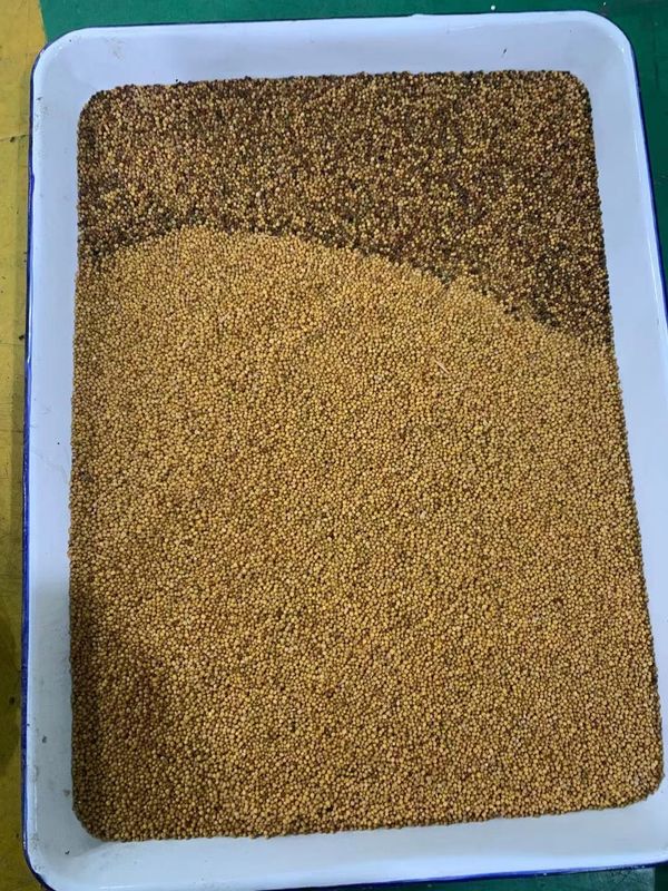 WENYAO Coleseed Colour Separation Machine, trieur de couleur de CCD de graine de colza