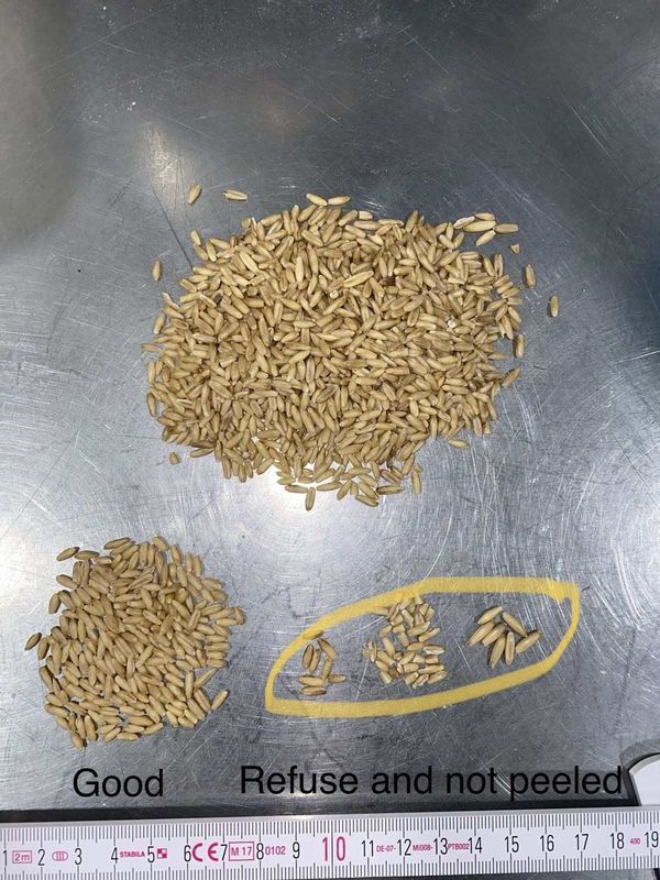 Trieuse de couleur de blé de caméra de Wenyao RVB avec l'exactitude de tri élevée
