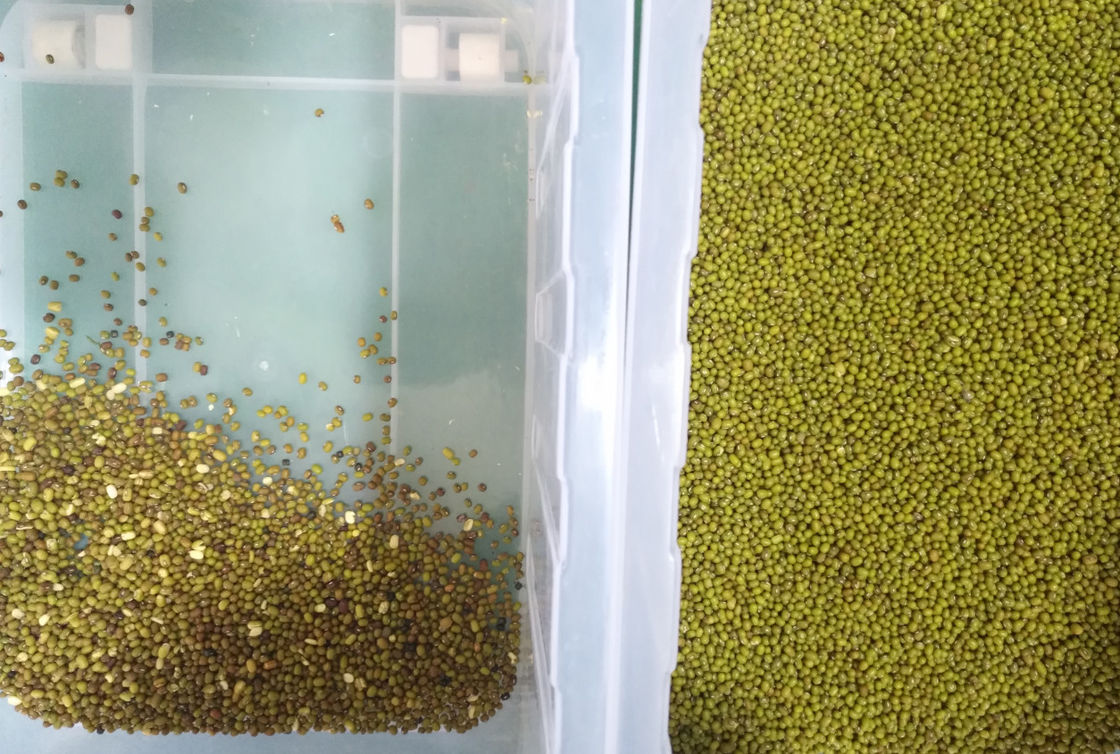 machine intelligente de trieuse de couleur du CCD 10t/h pour les fèves de mung vertes
