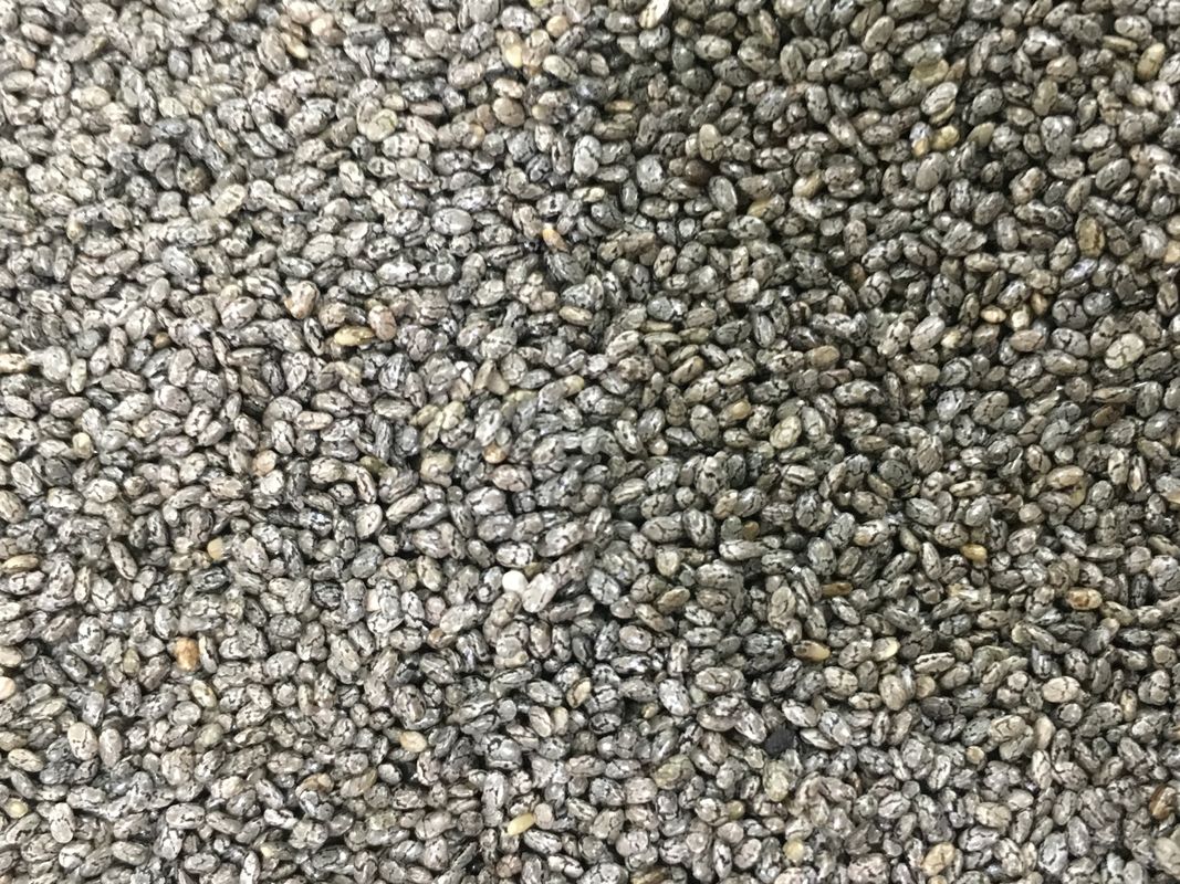512 canaux 8 chute la caméra de Chia Seed Color Sorter With RVB