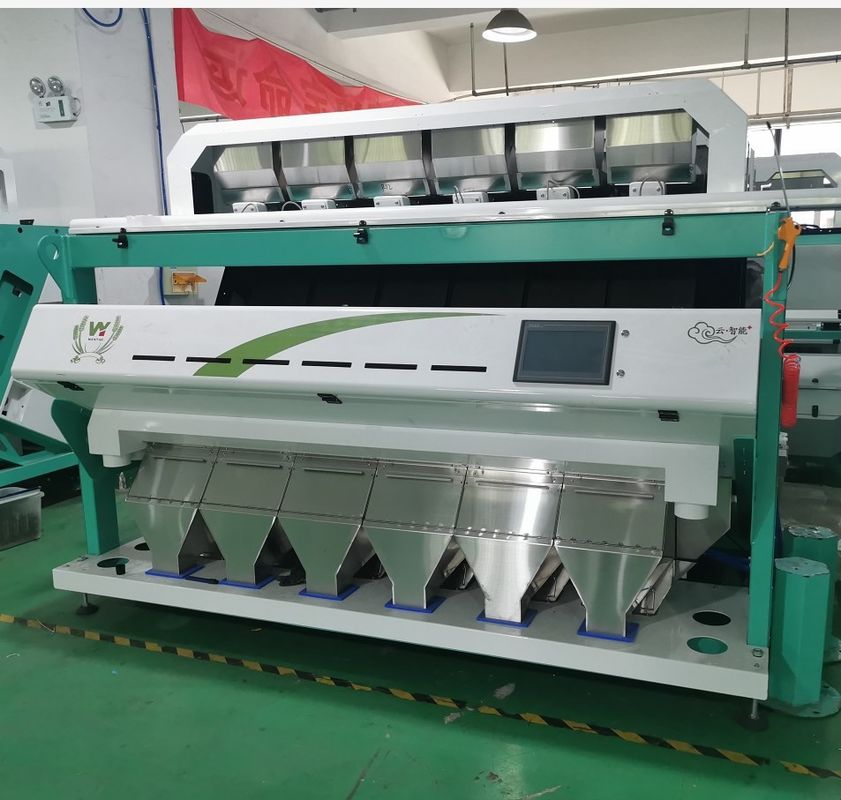 Trieur de couleur de grain de CCD de WENYAO, Olive Optical Sorter Machine