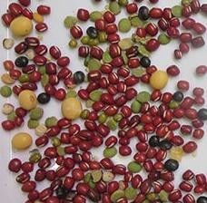 Les haricots polychromes de CCD colorent la trémie d'acier inoxydable de la machine 304 de trieuse