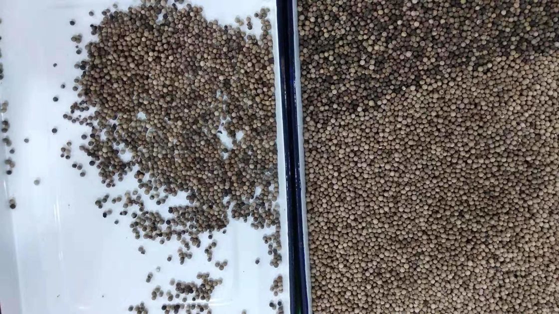 Trieuse intelligente de couleur de grain, trieuse de poivre de 220V RVB