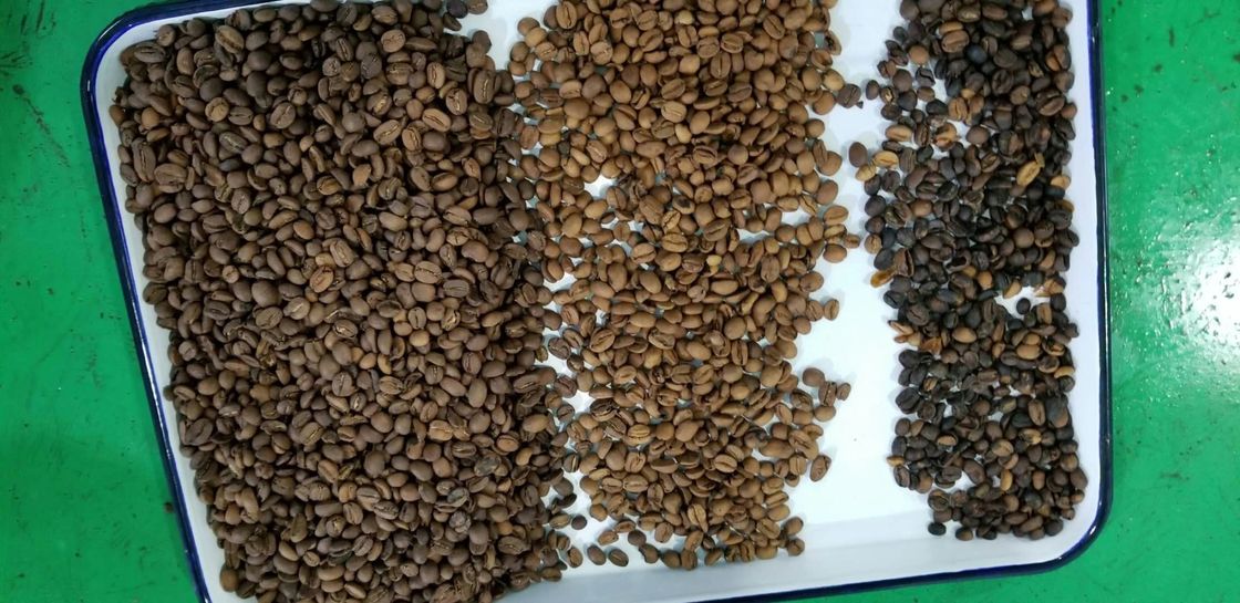 Trieuse de couleur de grains de café de caméra CCD de pixels de la capacité élevée 5400 assortissant la machine de séparateur