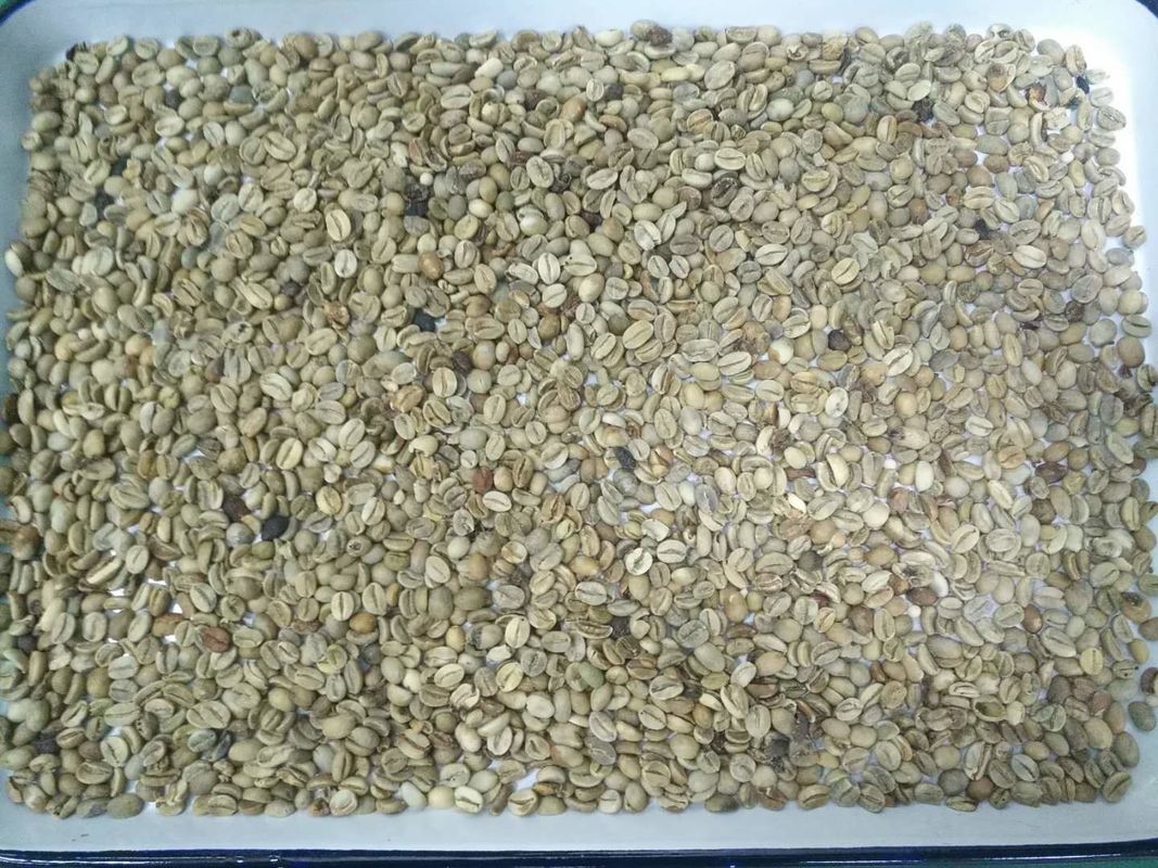 Trieuse de couleur de grains de café de caméra CCD de pixels de la capacité élevée 5400 assortissant la machine de séparateur