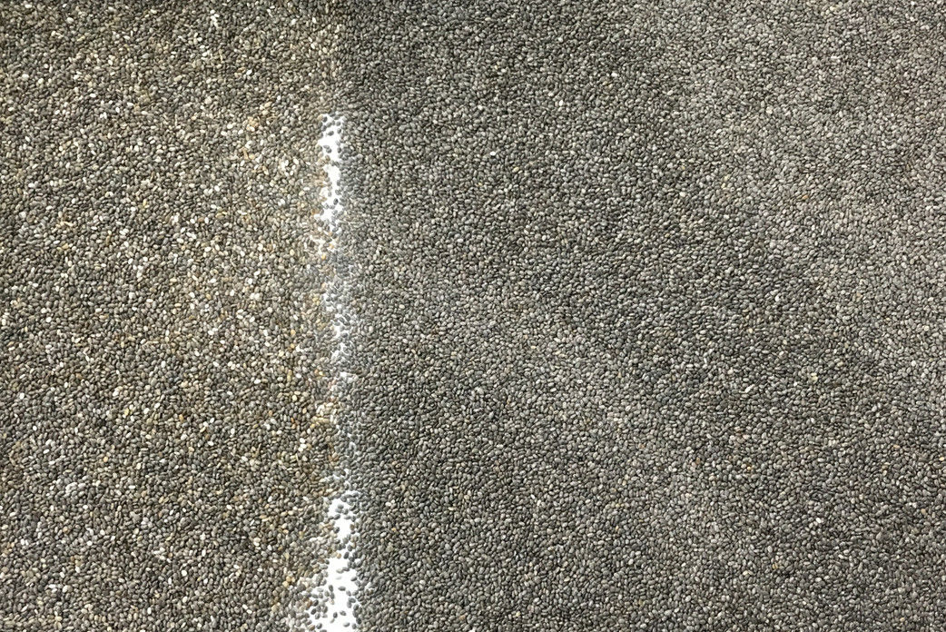 220V 50HZ Chia Seed Color Sorter, machine intelligente de séparateur de graine