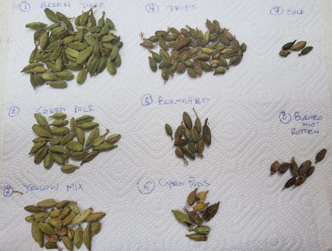 Trieuse de couleur de 512 haricots de canaux, contrôle de WIFI de trieuse de cardamome de 8 descendeurs