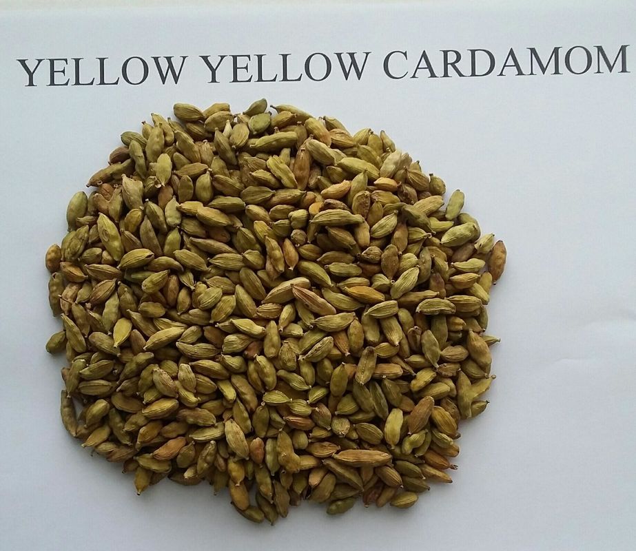 Trieuse de couleur de 512 haricots de canaux, contrôle de WIFI de trieuse de cardamome de 8 descendeurs