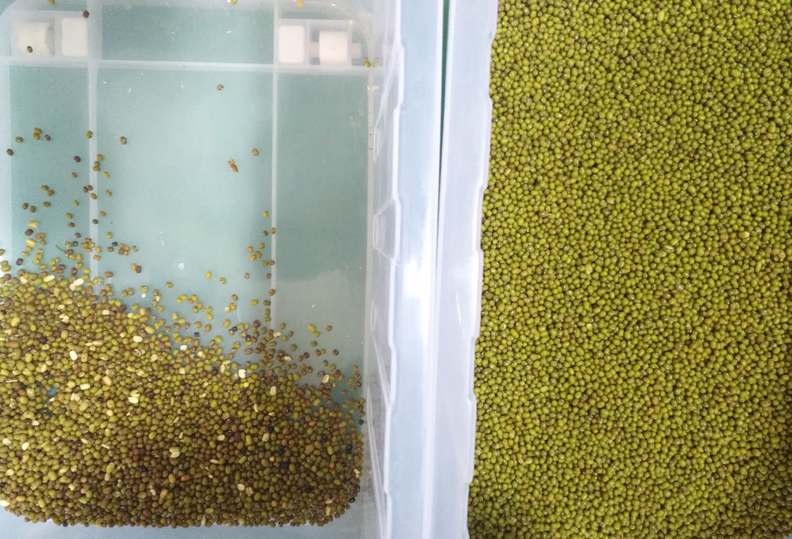 Trieuse de couleur de céréale de 6 descendeurs pour le millet de sarrasin de sorgho