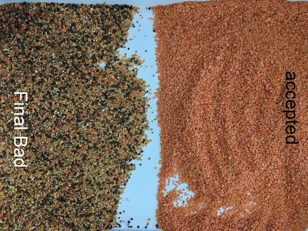 10t/h Wenyao Color Sorter, lentille Mung Dal Color Sorter