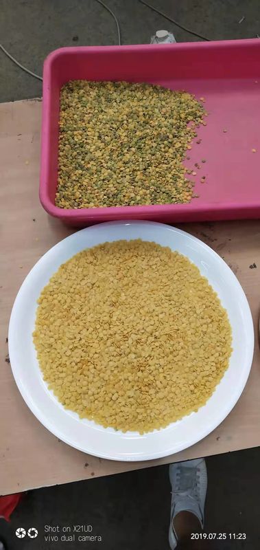 10t/h Wenyao Color Sorter, lentille Mung Dal Color Sorter