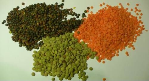 Lentille noire Dal Color Sorter 8 descendeurs 512 canaux avec la lumière variable de LED
