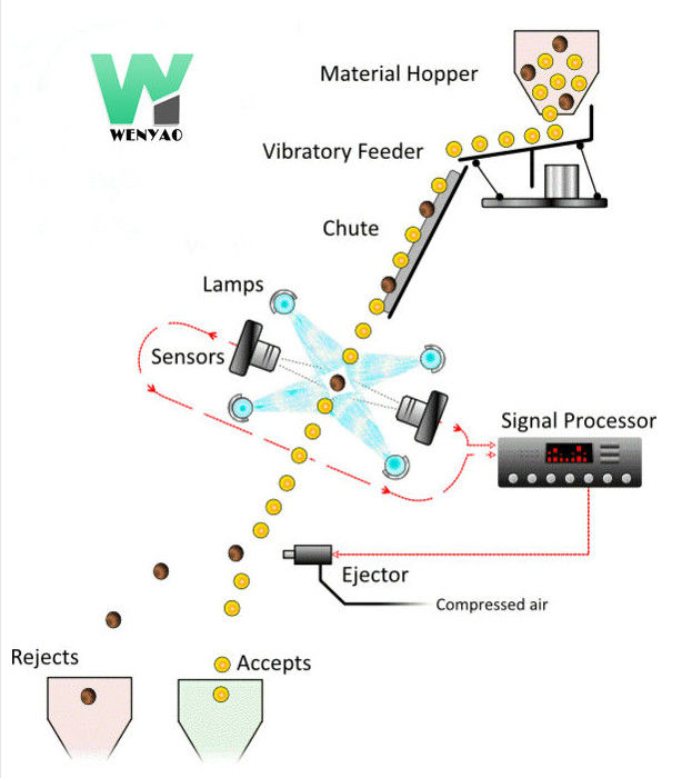 Trieuse intelligente de couleur de noix de pécan avec RVB à grande vitesse Nir Cameras