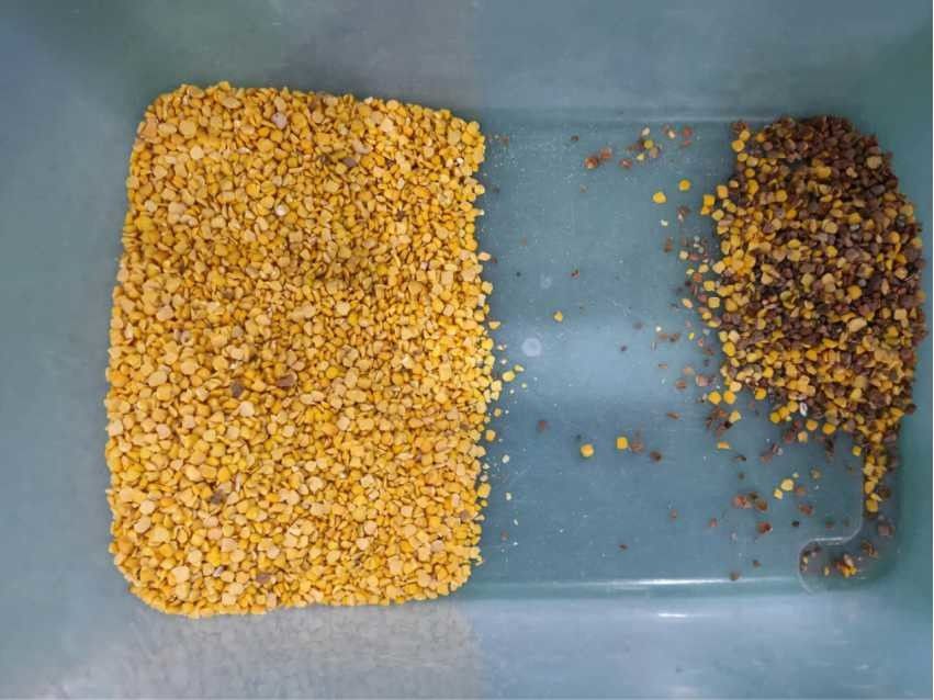 Source d'énergie jaune de Taïwan Meanwell de trieuse de couleur de haricots de lentilles