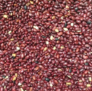 Les haricots rouges colorent la trieuse avec la haute caméra CCD de pixels 2 ans de garantie