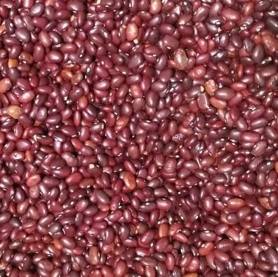 Les haricots rouges colorent la trieuse avec la haute caméra CCD de pixels 2 ans de garantie