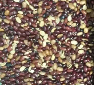 Les haricots rouges colorent la trieuse avec la haute caméra CCD de pixels 2 ans de garantie