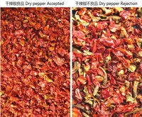 3t/h trieuse végétale, Chili Color Sorter Machine rouge sec