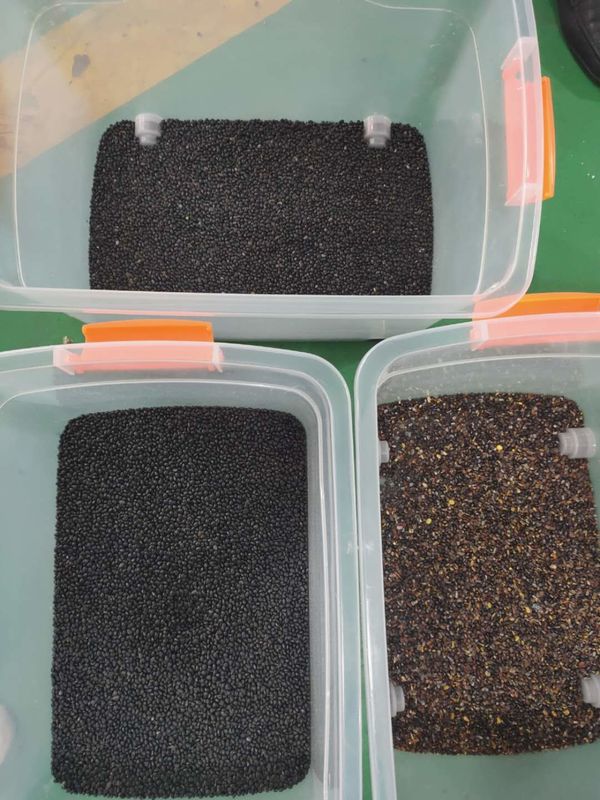 Large trieuse de couleur de haricots nains de capacité élevée avec la caméra CCD de RVB