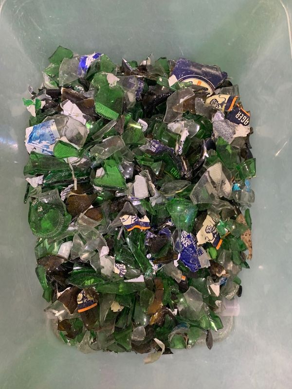 Trieuse de couleur en plastique de capteur de CCD de Toshiba avec la puce de processus américaine