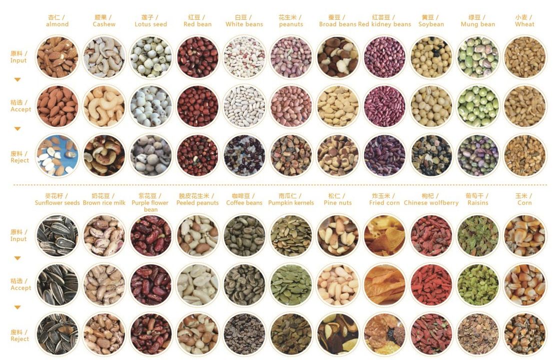 Trieuse de calcul automatique de couleur de grain de RVB pour le maïs Bean Seed de blé de riz