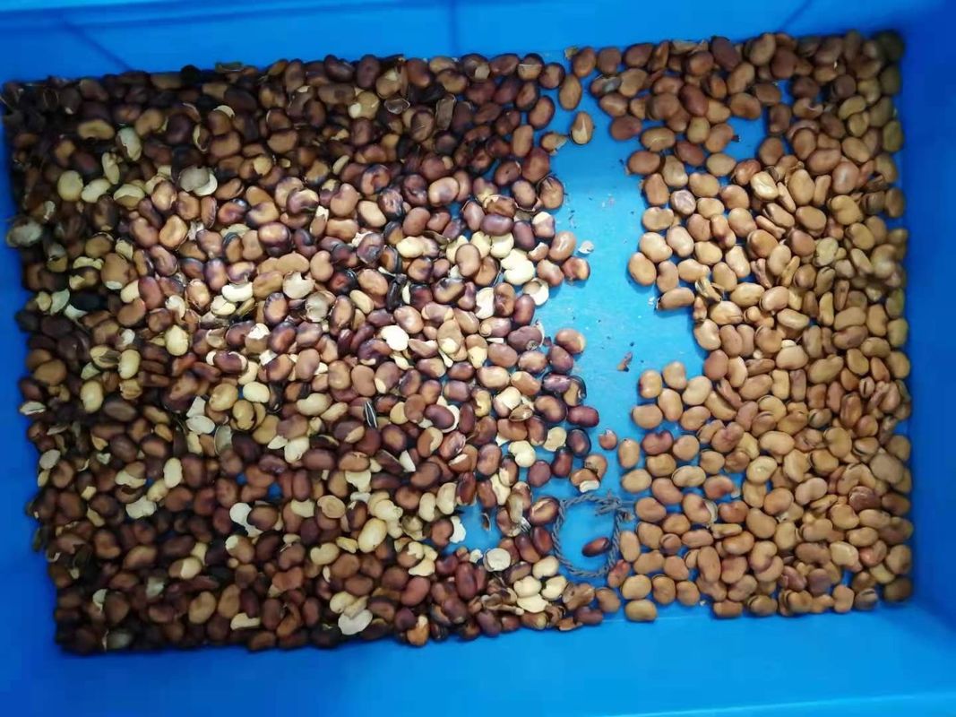 Caméra monochromatique de large résolution de Bean Color Separator With High