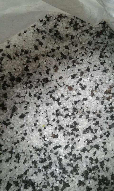 machine en plastique de trieuse de couleur de 384 canaux avec le service à distance de WiFi