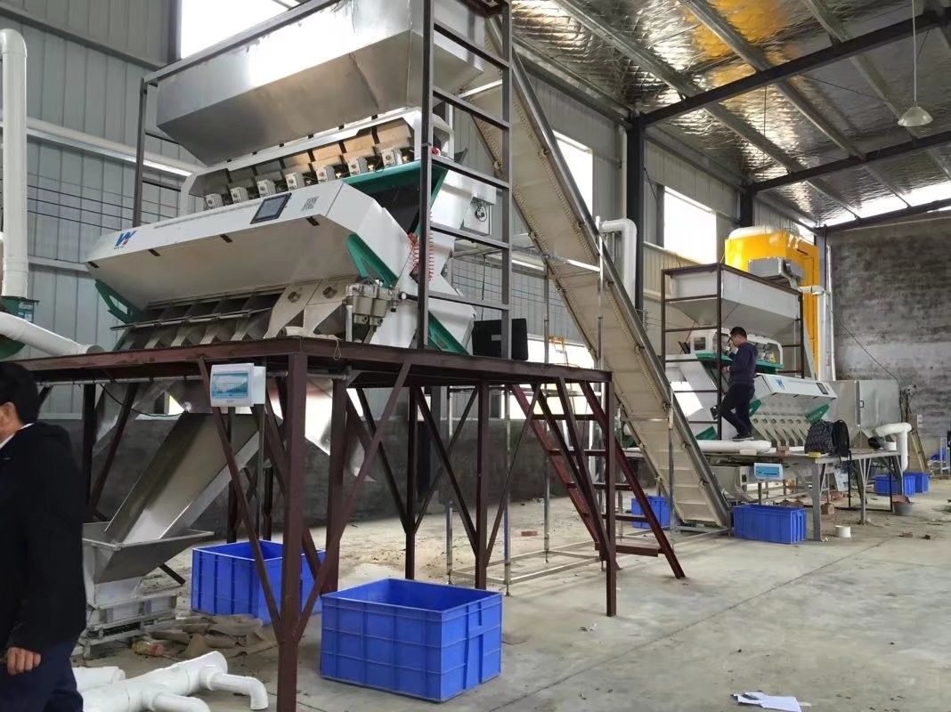 Caméras de 7T/H WENYAO Color Sorter Advanced RVB avec 5400 pixels