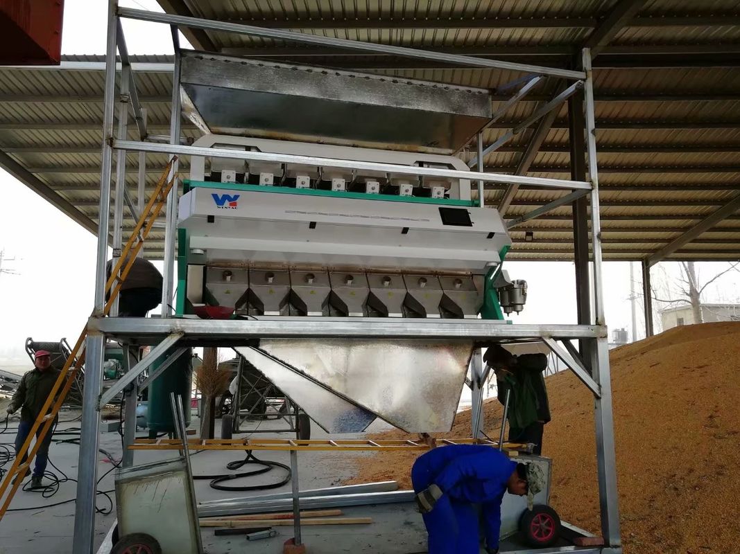 Trieuse optique 7000kg/h de couleur de blé de RVB avec deux caméras CCD
