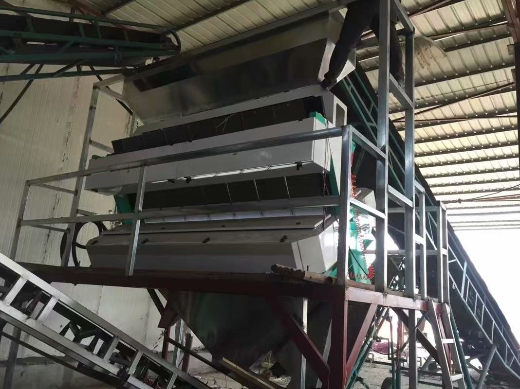 Le CE a délivré un certificat la machine de trieuse de couleur d'écrous pour la noix de pistache de pignon