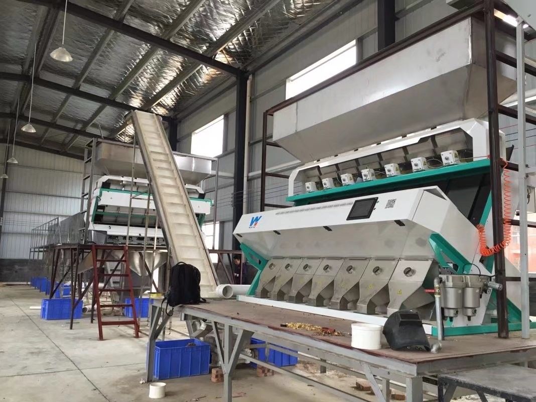 Sortie optique de la trieuse 5000kg/H de couleur de caméra des lentilles RVB de soja de Dall