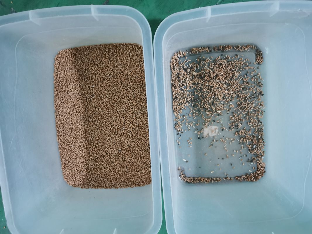 Trieuse optique 7000kg/h de couleur de blé de RVB avec deux caméras CCD