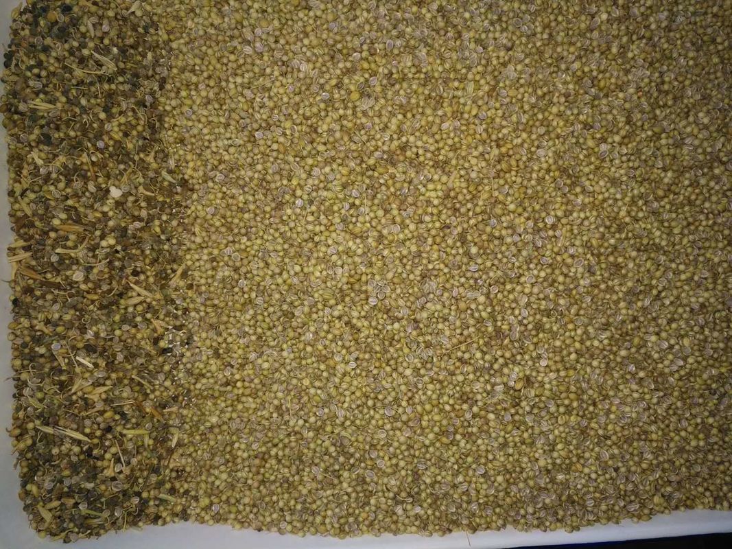 Puissance de TAÏWAN Meanwell de trieuse de couleur de graine de coriandre avec la garantie de 2 ans