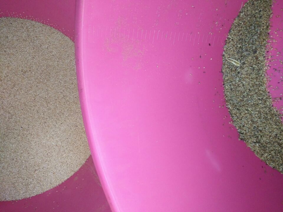 Facile actionnez le trieur de couleur de grain, trieur de couleur du sésame 8t/h avec la caméra de RVB