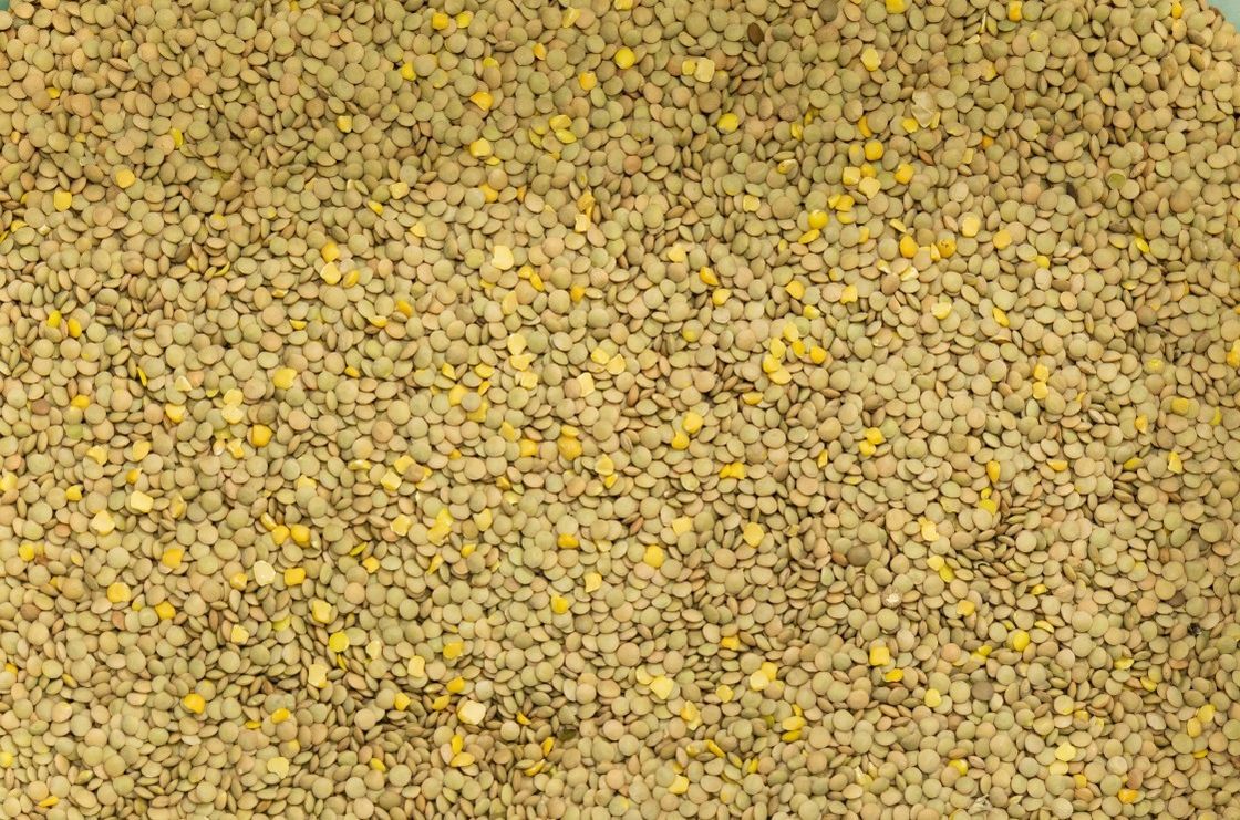 La trieuse de couleur des pois chiches RVB de lentille usinent le calcul automatique