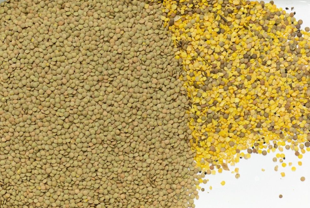 La trieuse de couleur des pois chiches RVB de lentille usinent le calcul automatique