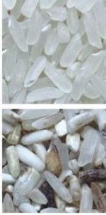 Facile à utiliser machine de tri de couleur de café avec l' inoxydable 304 Hopper de qualité alimentaire