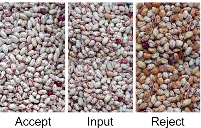 CCD automatique RVB Bean Color Sorter