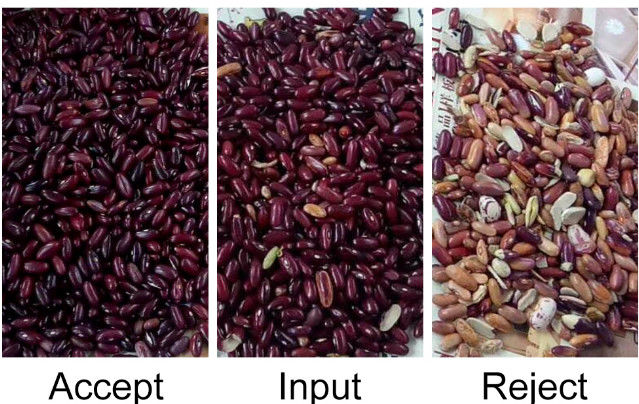 CCD automatique RVB Bean Color Sorter